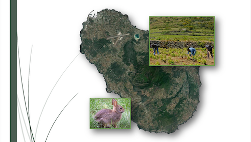 Piano di gestione e controllo del coniglio selvatico nel Parco Nazionale di Pantelleria