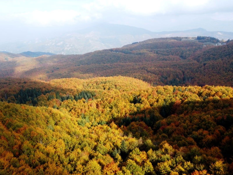 Le foreste demaniali dell'Appennino Modenese ottengono la certificazione per gestione forestale sostenibile e servizi ecosistemici; 'crediti di sostenibilità' a disposizione delle aziende.