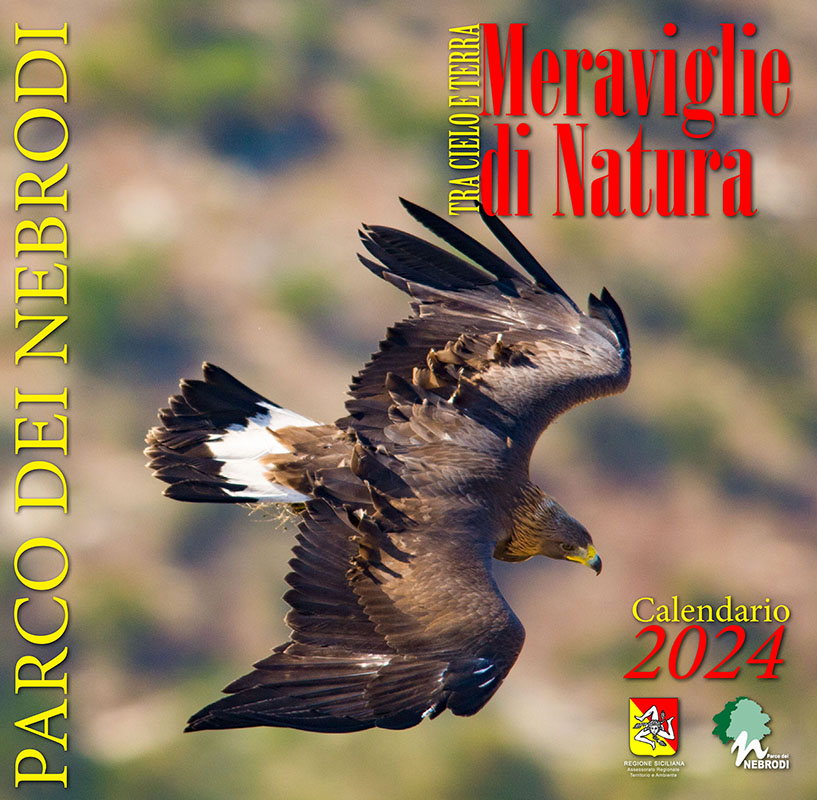 CALENDARIO ISTITUZIONALE DEL PARCO DEI NEBRODI 2024  - 'Tra cielo e terra: meraviglie di Natura'