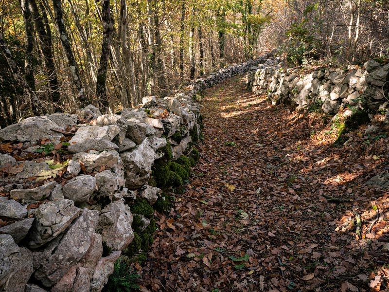 Le vie Murate di Filignano: un patrimonio che il Parco intende valorizzare