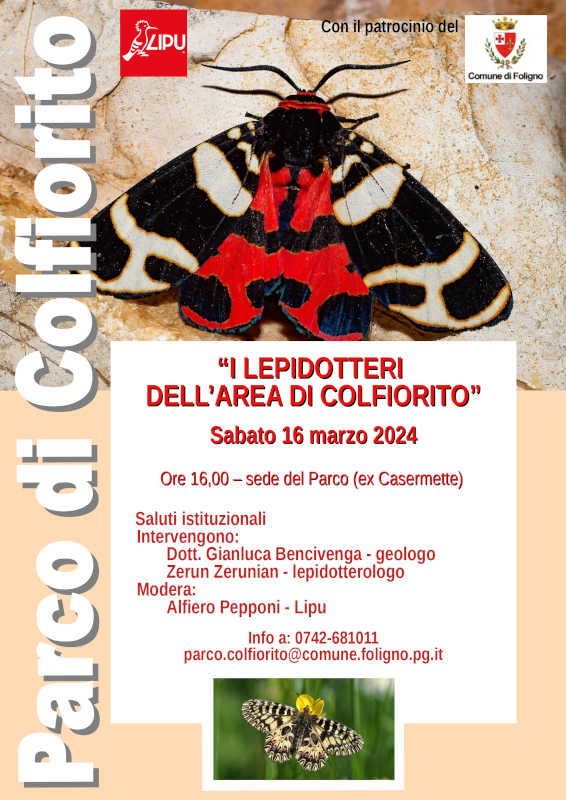 I lepidotteri dell'area di Colfiorito