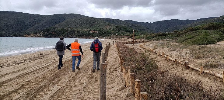Nuovo intervento di ripristino degli ambienti dunali a Lacona, Isola d’Elba