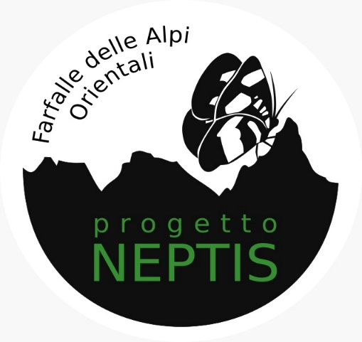 Riparte il progetto Neptis: studia con noi le farfalle!