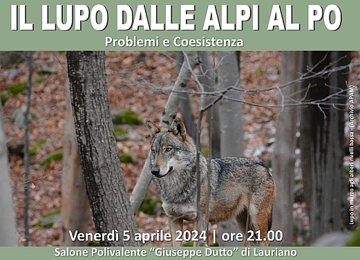 'Il lupo dalle Alpi al Po, problemi e coesistenza'
