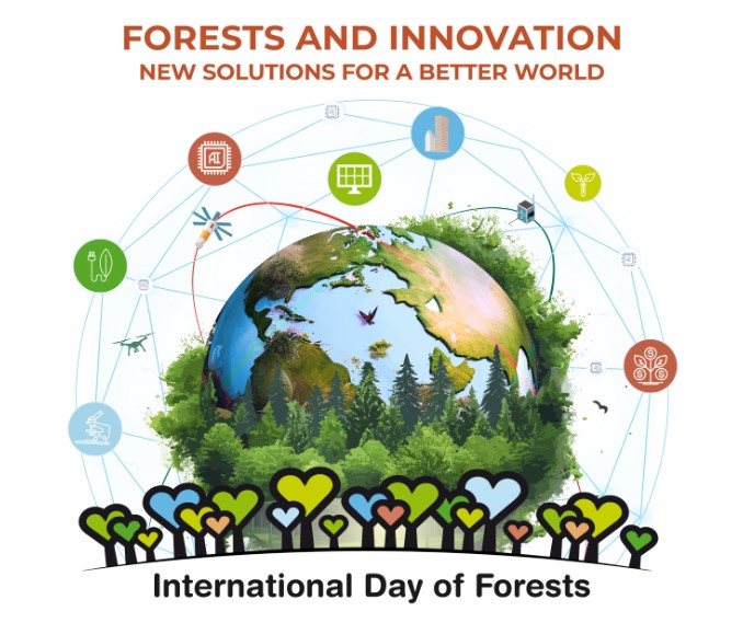 Il Parco del Pollino celebra la Giornata Internazionale delle Foreste