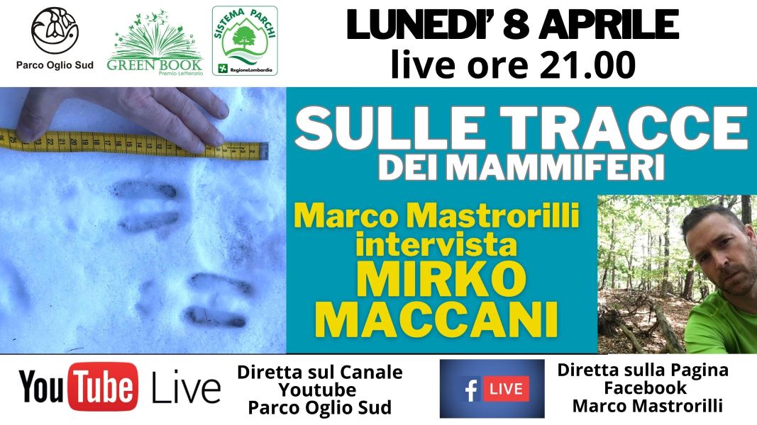 Sulle tracce dei mammiferi. Marco Mastrorilli intervista Mirko Maccani.