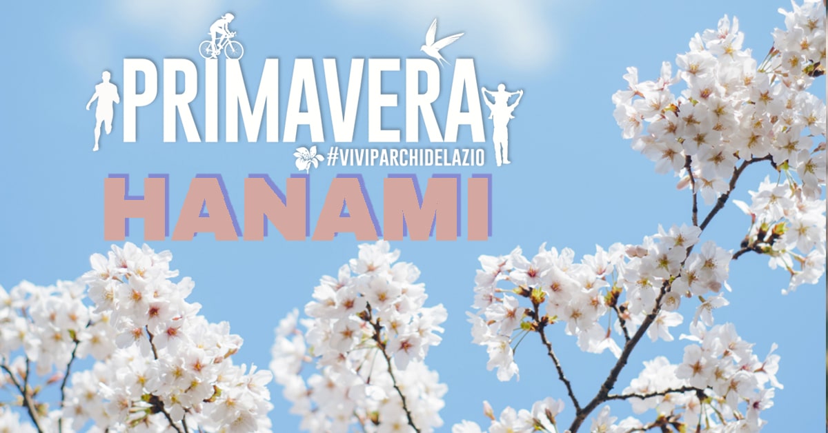 Sabato 13 aprile torna l'Hanami la festa del ciliegio in fiore al CREA di via di Fioranello
