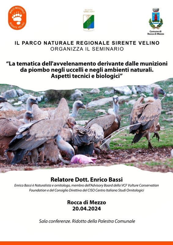 Seminario: 'La tematica dell'avvelenamento derivante dalle munizioni da piombo negli uccelli e negli ambienti naturali. Aspetti tecnici e biologici'.