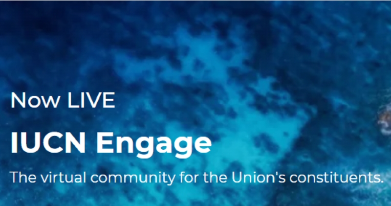 Online la piattaforma IUCN Engage
