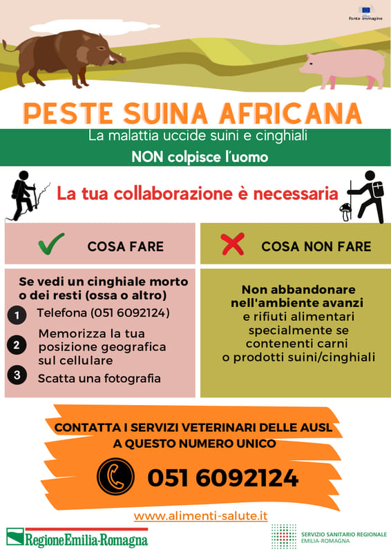 Peste Suina Africana (PSA) in Emilia-Romagna