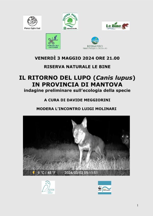 Il ritorno del lupo nella pianura padana centrale: l'ecologia del lupo in provincia di Mantova.