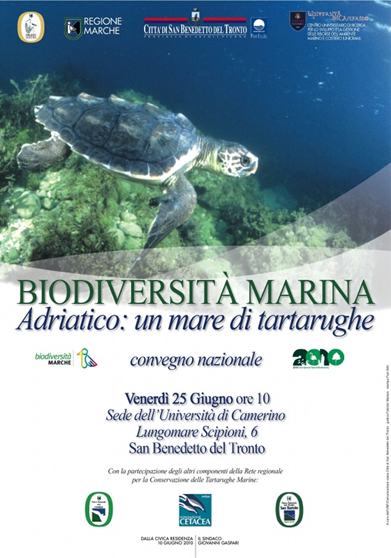 Convegno nazionale: Biodiversità marina. Adriatico, un mare di tartarughe