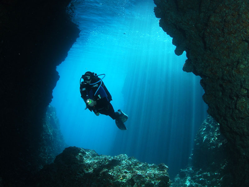 Immergetevi nelle Aree Marine Protette, scegliendo tra itinerari subacquei e diving center segnalati