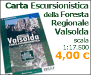 Carta escursionistica della Foresta Regionale Valsolda (CO)