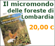 Il micromondo delle foreste di Lombardia
