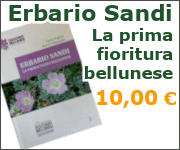 Erbario Sandi La prima flora bellunese