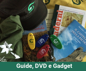 Guide, DVD e Gadget