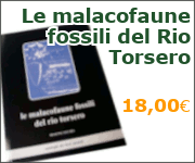 Le malacofaune fossili del Rio Torsero