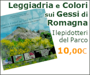 Leggiadria e Colori sui Gessi di Romagna