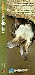 Pipistrelli: mammiferi super
