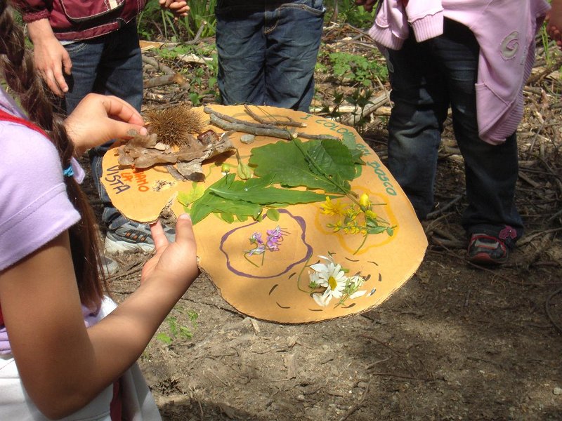 Environmental education activity at Collina di Superga