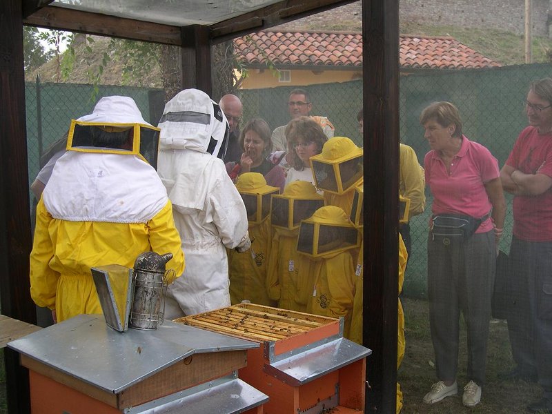 Visita didattica all'apiario