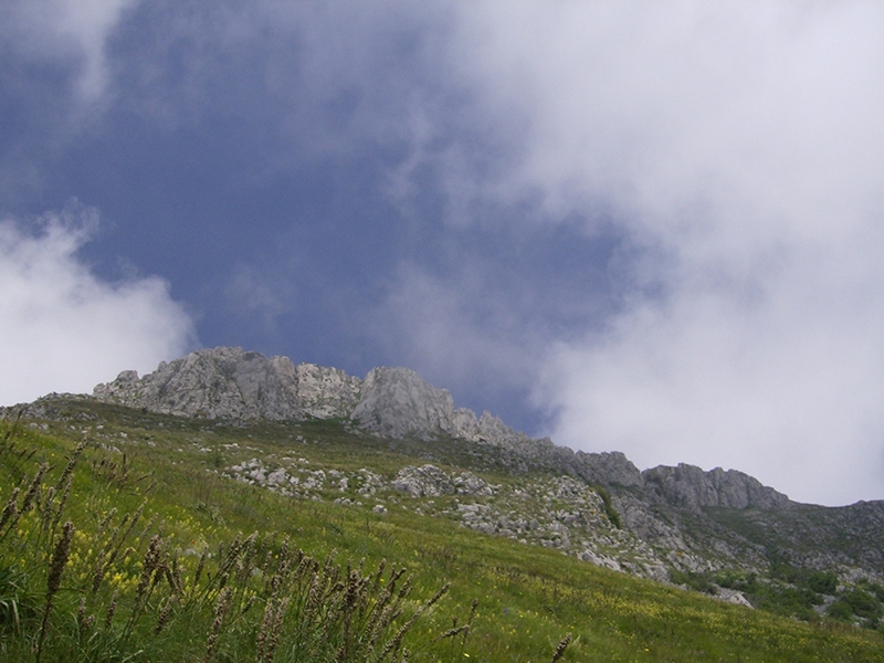 Mt. Toraggio (Val Nervia)
