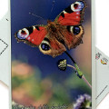 Postkarte des Parco dell'Aveto - Il Giardino delle farfalle (Der Garten der Schmetterlinge)