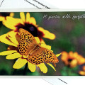 The Aveto Park Postcards - "The Butterfly Garden", "Silver-washed fritillary"