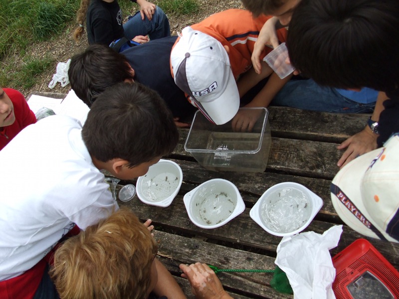 Environmental Education - Let's discover the torrent