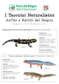 Anfibi e rettili del Beigua (Amphibians and reptiles of Beigua)