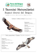 Rapaci diurni del Beigua (Daily birds of prey of Beigua)