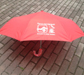 Folding umbrella of the Park