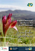 I tesori nascosti del Parco dei Castelli Romani. Le orchidee spontanee