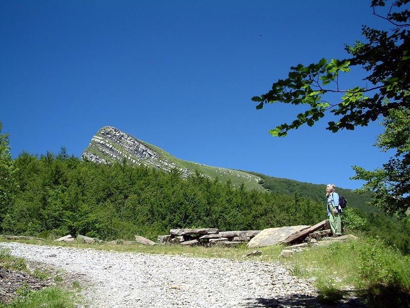 Trail towards Capanne Badignana