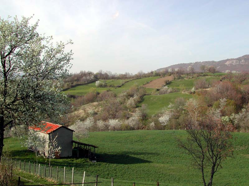 High-mountain rural landscape
