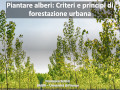 Piantare alberi: Criteri e principi di forestazione urbana