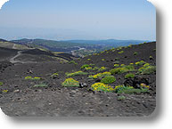 Paesaggio Etna