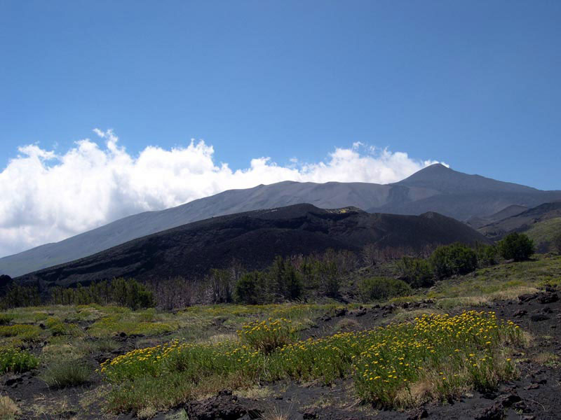 Northern Etna, panoramic photo