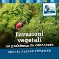 Invasioni vegetali - Un problema da conoscere