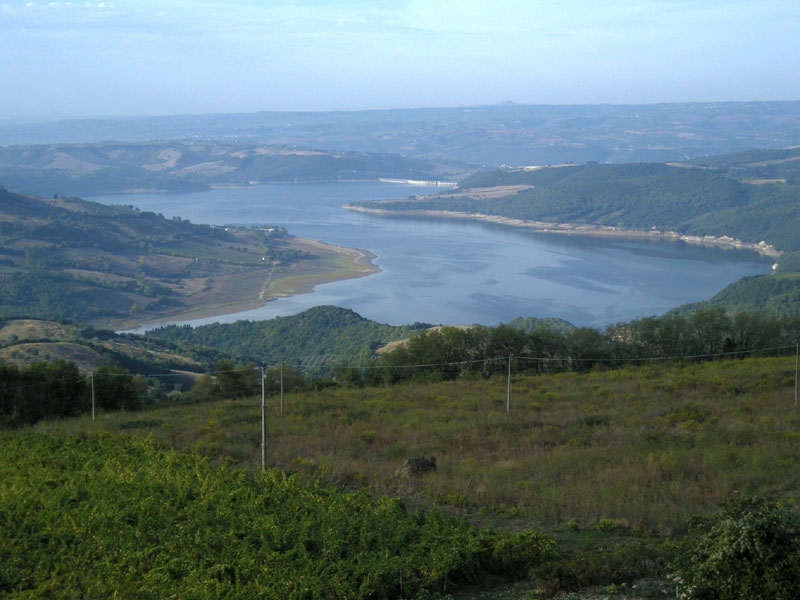 Panorama of Corbara Lake