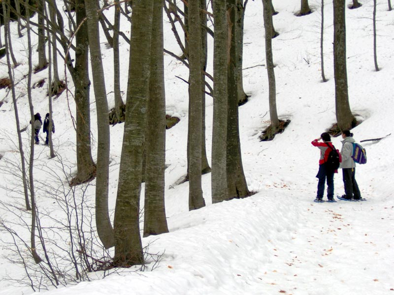 Snowshoeing in Frignano Park