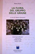 La flora del Gruppo delle Grigne