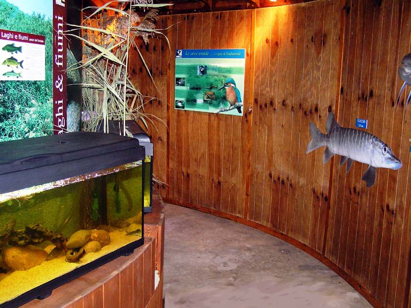 Aquatic Ecosystem Interpretation Center, interior