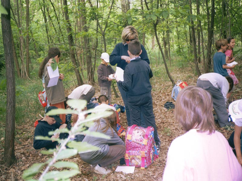 Educazione ambientale nel bosco