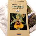 Le Orchidee
