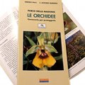 Le Orchidee (Orchids)