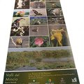 Brochure La flora e la fauna della Riserva Naturale delle Valli del Mincio
