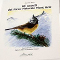 Gli uccelli del Parco Naturale del Mont Avic