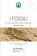 I fossili del Monte Castellaro nel Parco San Bartolo